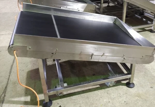 Ramp and Flat Motorized Conveyors
