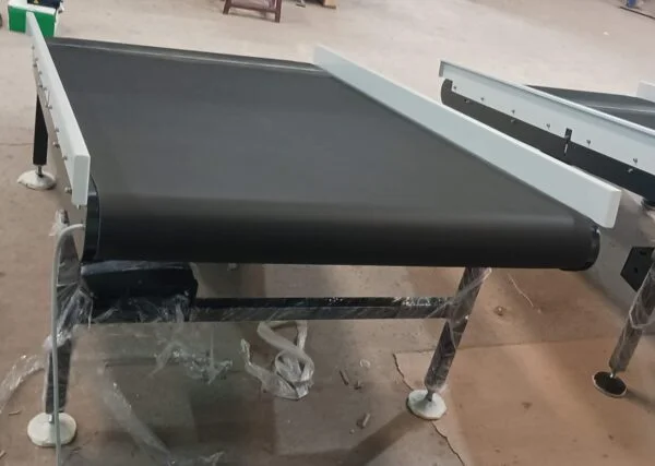 Ramp and Flat Motorized Conveyors - Image 3