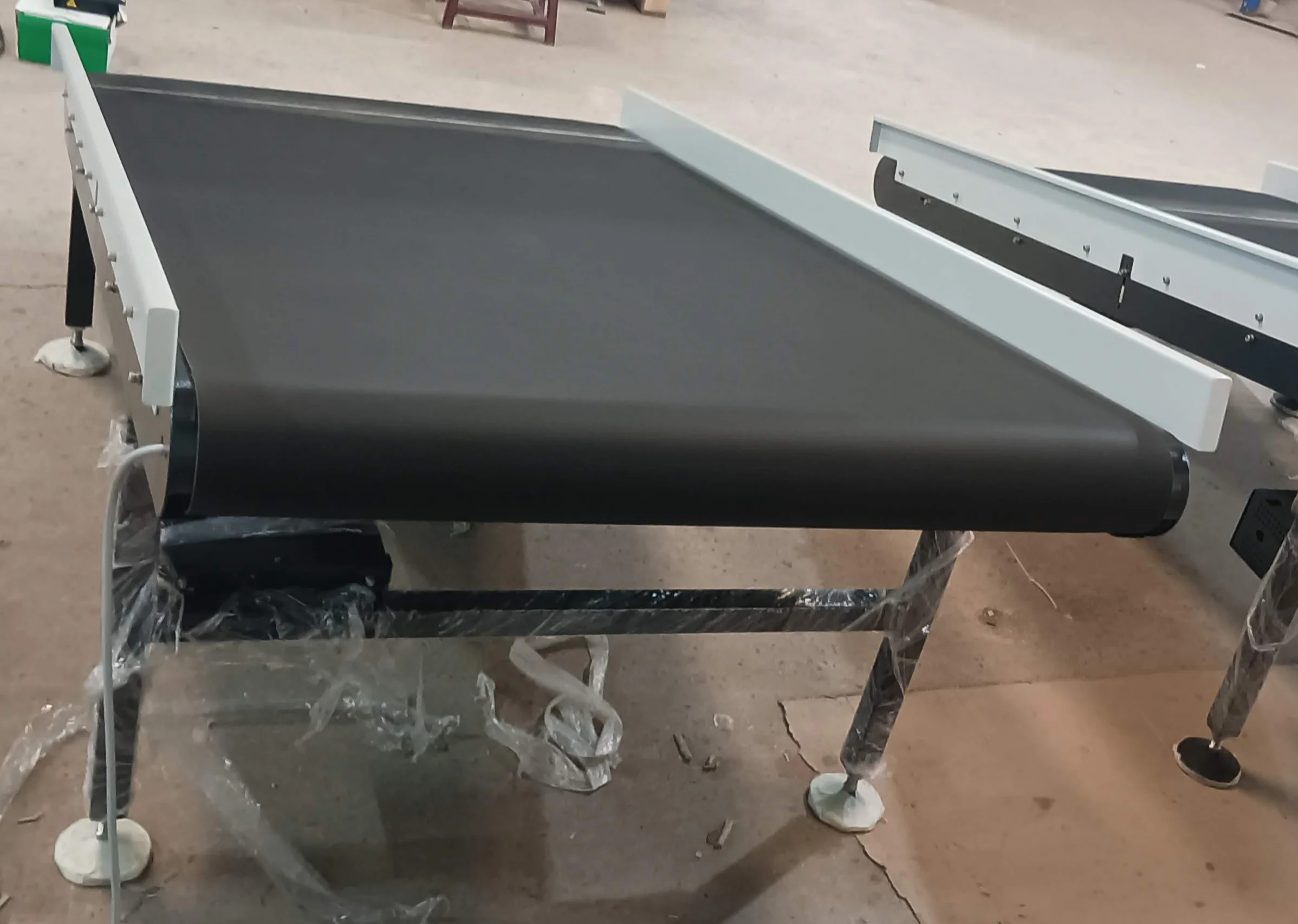 Ramp and Flat Motorized Conveyors - Image 3